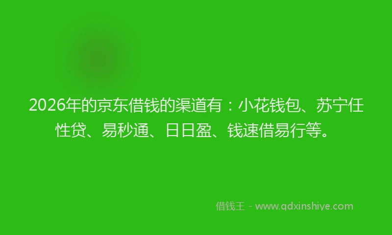 2026年的京东借钱的渠道有：小花钱包、苏宁任性贷、易秒通、日日盈、钱速借易行等。