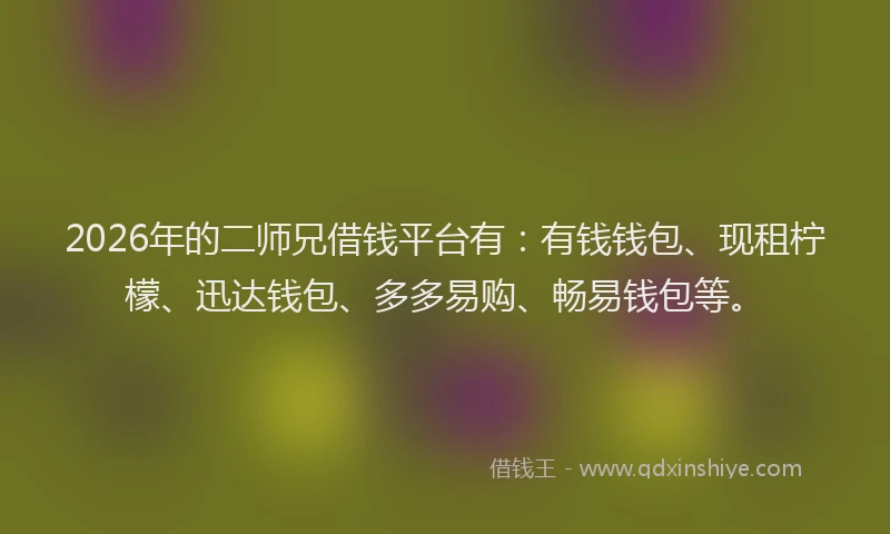 2026年的二师兄借钱平台有：有钱钱包、现租柠檬、迅达钱包、多多易购、畅易钱包等。