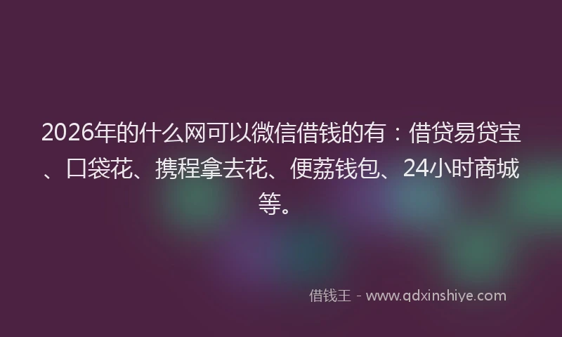 2026年的什么网可以微信借钱的有：借贷易贷宝、口袋花、携程拿去花、便荔钱包、24小时商城等。