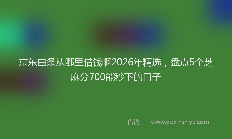 京东白条从哪里借钱啊2026年精选，盘点5个芝麻分700能秒下的口子