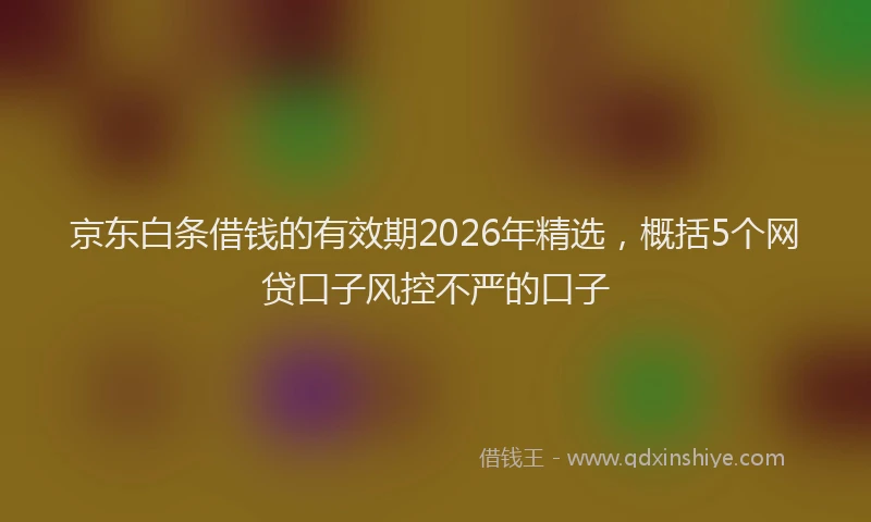 京东白条借钱的有效期2026年精选，概括5个网贷口子风控不严的口子