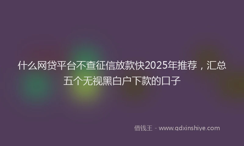 什么网贷平台不查征信放款快2025年推荐,汇总五个无视黑白户下款的口子