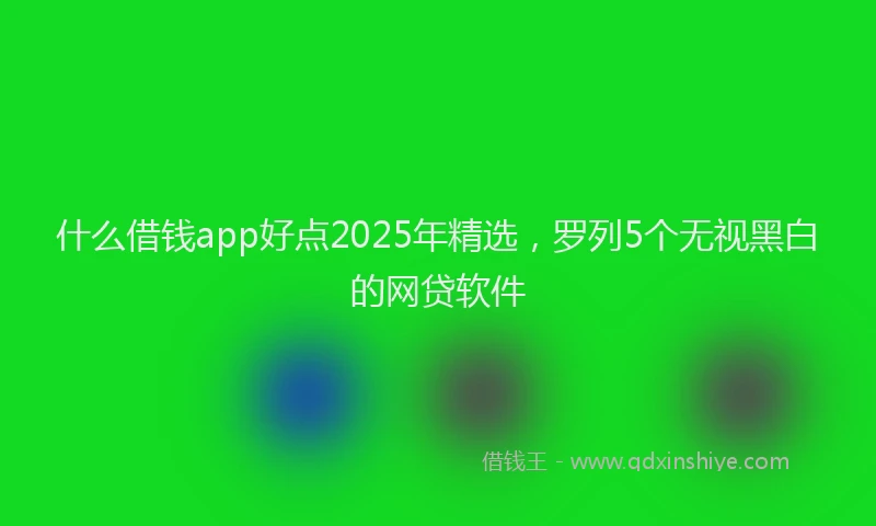 什么借钱app好点2025年精选，罗列5个无视黑白的网贷软件