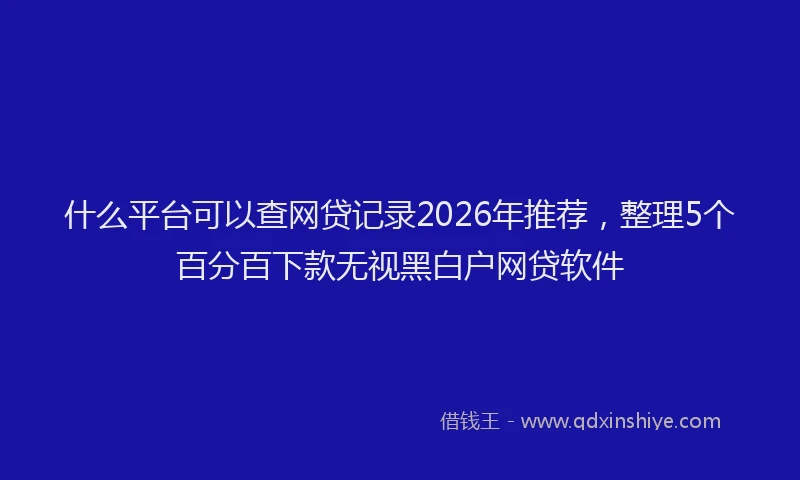什么平台可以查网贷记录2026年推荐，整理5个百分百下款无视黑白户网贷软件
