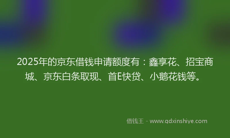 2025年的京东借钱申请额度有：鑫享花、招宝商城、京东白条取现、首E快贷、小鹅花钱等。
