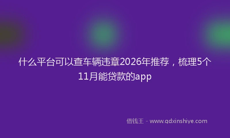 什么平台可以查车辆违章2026年推荐,梳理5个11月能贷款的app