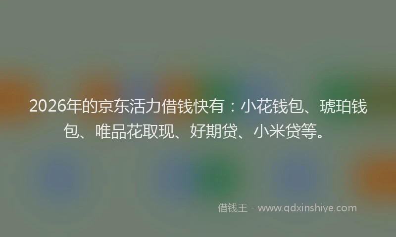 2026年的京东活力借钱快有：小花钱包、琥珀钱包、唯品花取现、好期贷、小米贷等。