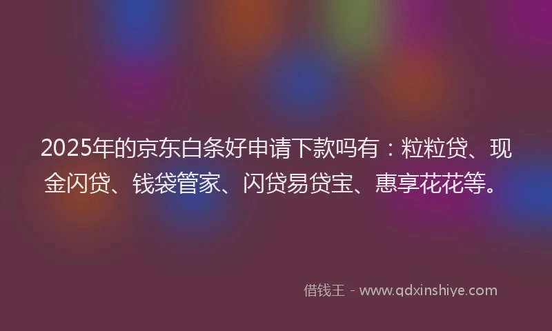2025年的京东白条好申请下款吗有：粒粒贷、现金闪贷、钱袋管家、闪贷易贷宝、惠享花花等。