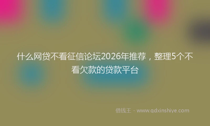 什么网贷不看征信论坛2026年推荐，整理5个不看欠款的贷款平台