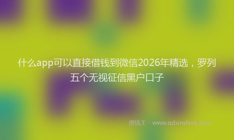 什么app可以直接借钱到微信2026年精选，罗列五个无视征信黑户口子