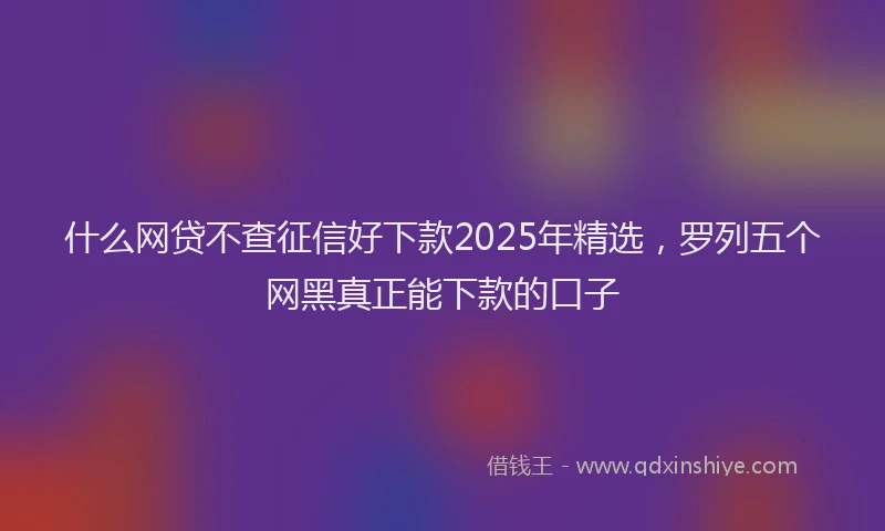 什么网贷不查征信好下款2025年精选，罗列五个网黑真正能下款的口子