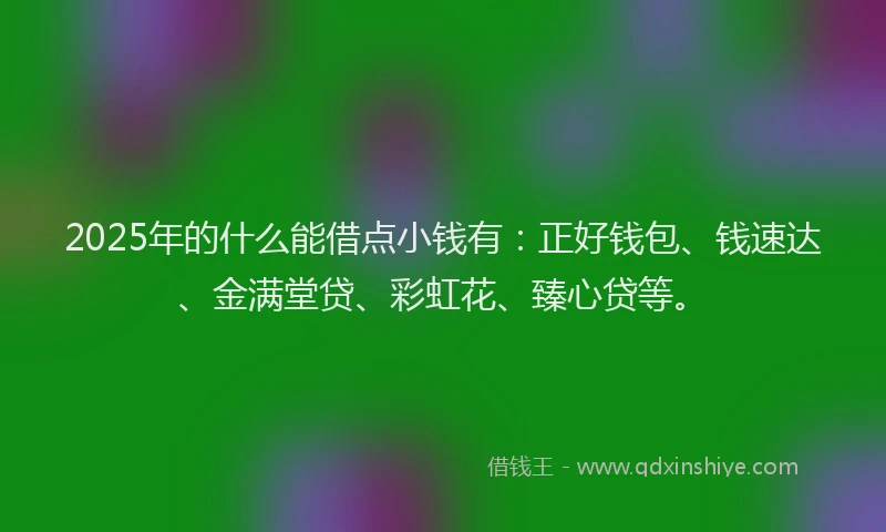 2025年的什么能借点小钱有:正好钱包、钱速达、金满堂贷、彩虹花、臻心贷等。
