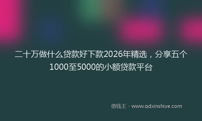 二十万做什么贷款好下款2026年精选，分享五个1000至5000的小额贷款平台