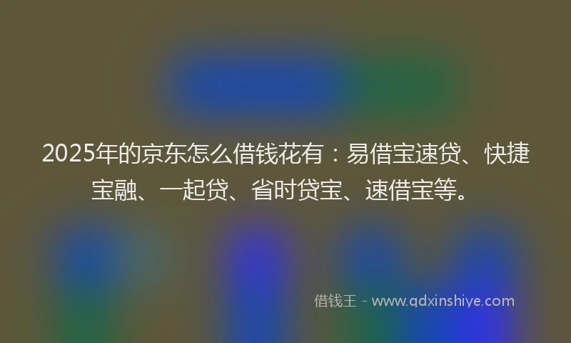 2025年的京东怎么借钱花有：易借宝速贷、快捷宝融、一起贷、省时贷宝、速借宝等。