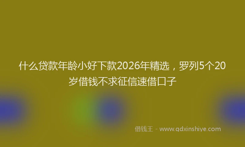 什么贷款年龄小好下款2026年精选，罗列5个20岁借钱不求征信速借口子