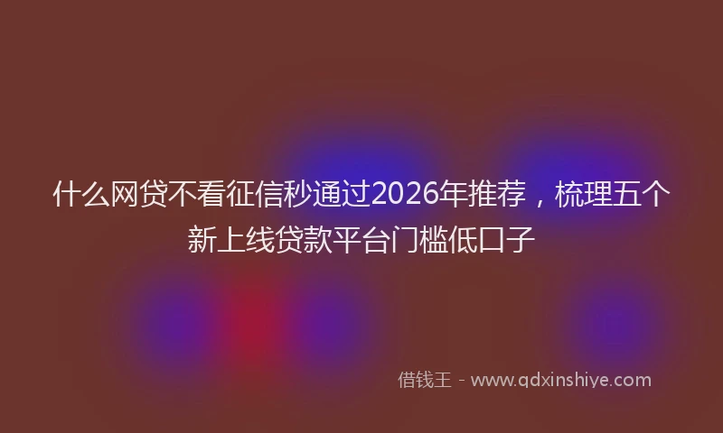 什么网贷不看征信秒通过2026年推荐，梳理五个新上线贷款平台门槛低口子