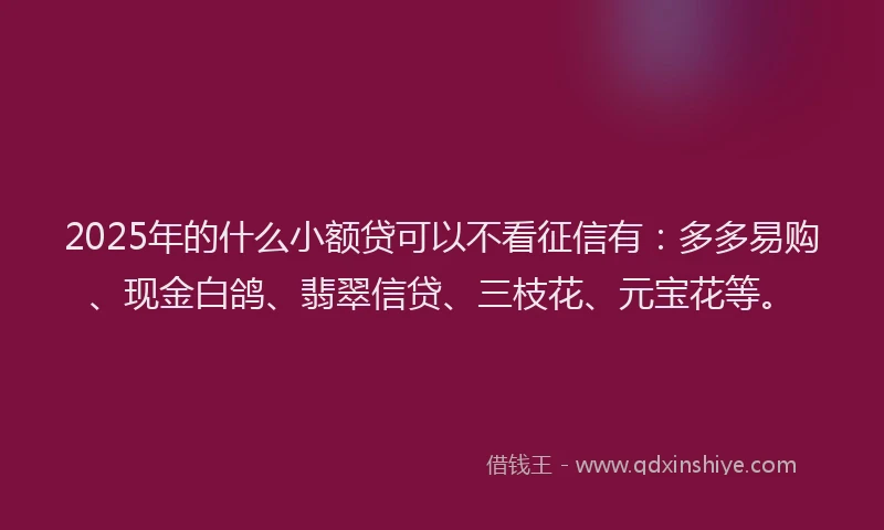 2025年的什么小额贷可以不看征信有：多多易购、现金白鸽、翡翠信贷、三枝花、元宝花等。