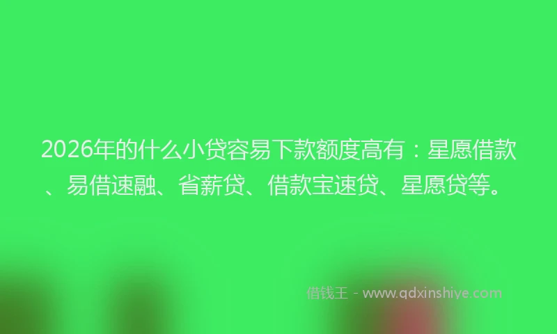 2026年的什么小贷容易下款额度高有:星愿借款、易借速融、省薪贷、借款宝速贷、星愿贷等。