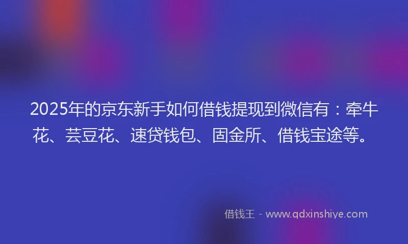 2025年的京东新手如何借钱提现到微信有：牵牛花、芸豆花、速贷钱包、固金所、借钱宝途等。