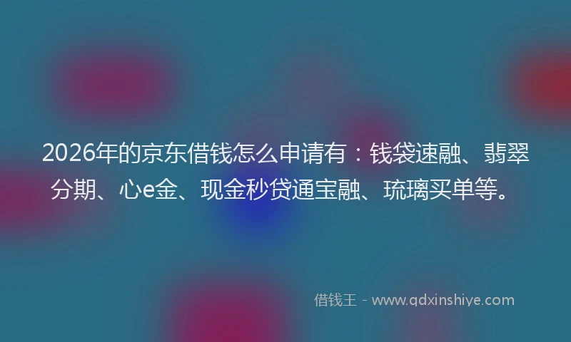 2026年的京东借钱怎么申请有：钱袋速融、翡翠分期、心e金、现金秒贷通宝融、琉璃买单等。