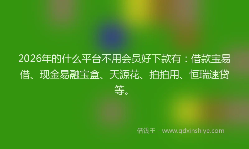 2026年的什么平台不用会员好下款有：借款宝易借、现金易融宝盒、天源花、拍拍用、恒瑞速贷等。