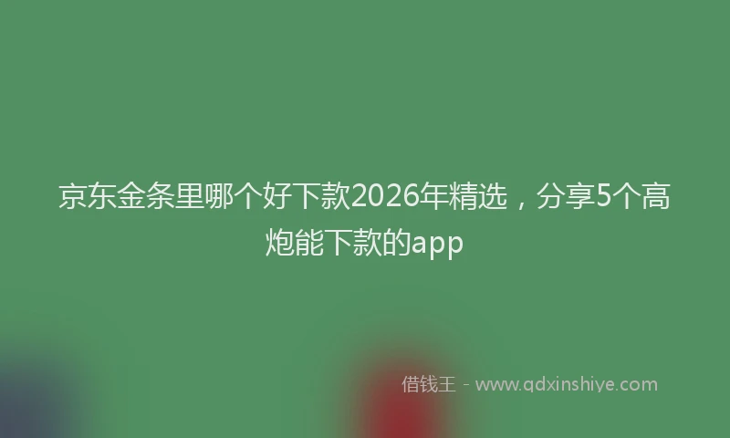 京东金条里哪个好下款2026年精选，分享5个高炮能下款的app