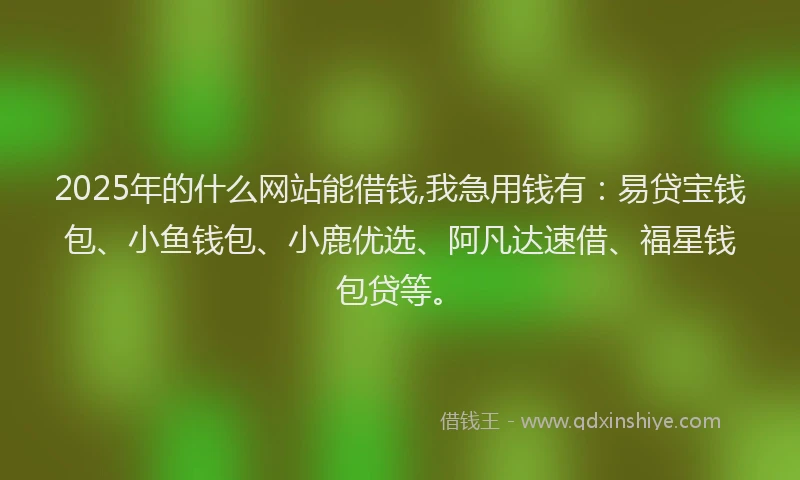 2025年的什么网站能借钱,我急用钱有：易贷宝钱包、小鱼钱包、小鹿优选、阿凡达速借、福星钱包贷等。