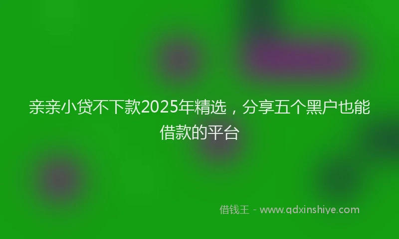 亲亲小贷不下款2025年精选，分享五个黑户也能借款的平台