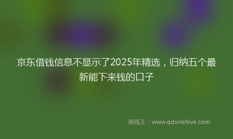 京东借钱信息不显示了2025年精选,归纳五个最新能下来钱的口子