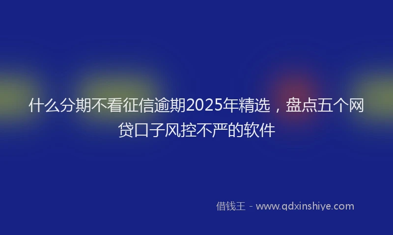 什么分期不看征信逾期2025年精选，盘点五个网贷口子风控不严的软件