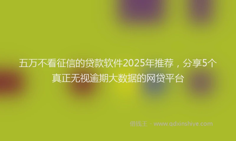 五万不看征信的贷款软件2025年推荐，分享5个真正无视逾期大数据的网贷平台