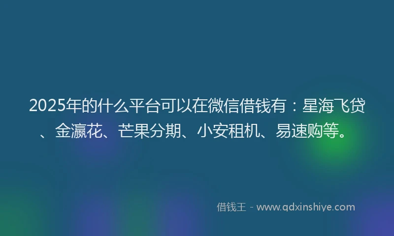 2025年的什么平台可以在微信借钱有：星海飞贷、金瀛花、芒果分期、小安租机、易速购等。