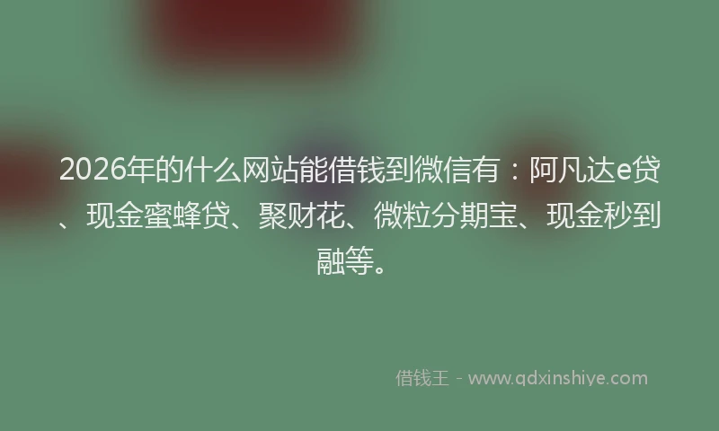 2026年的什么网站能借钱到微信有：阿凡达e贷、现金蜜蜂贷、聚财花、微粒分期宝、现金秒到融等。
