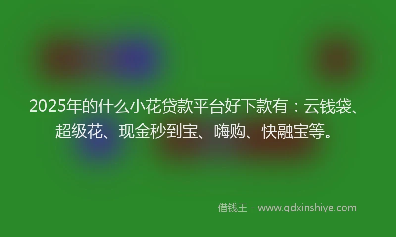2025年的什么小花贷款平台好下款有:云钱袋、超级花、现金秒到宝、嗨购、快融宝等。
