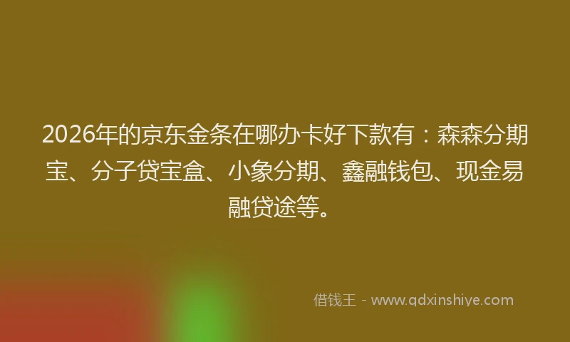 2026年的京东金条在哪办卡好下款有：森森分期宝、分子贷宝盒、小象分期、鑫融钱包、现金易融贷途等。