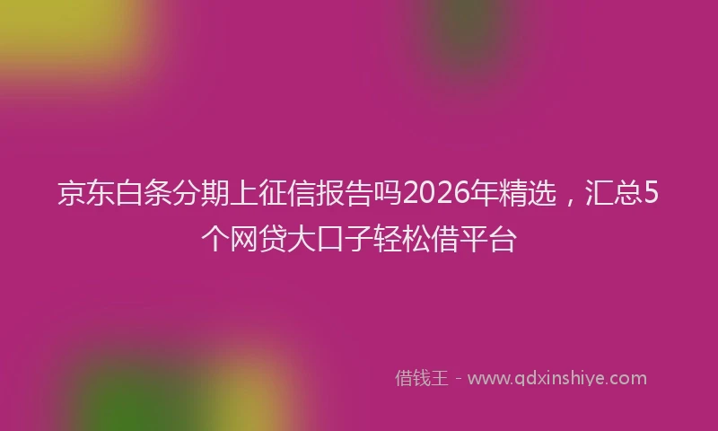 京东白条分期上征信报告吗2026年精选，汇总5个网贷大口子轻松借平台