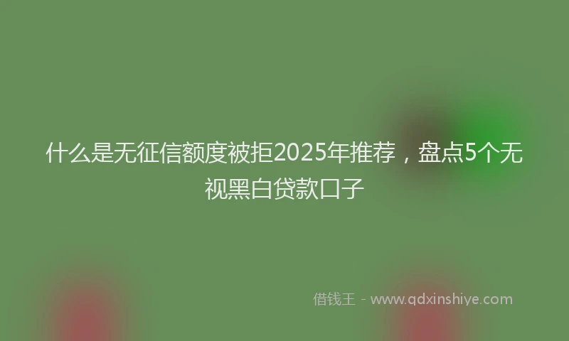 什么是无征信额度被拒2025年推荐，盘点5个无视黑白贷款口子