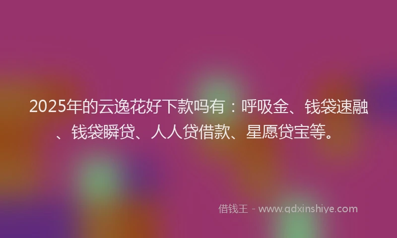 2025年的云逸花好下款吗有：呼吸金、钱袋速融、钱袋瞬贷、人人贷借款、星愿贷宝等。