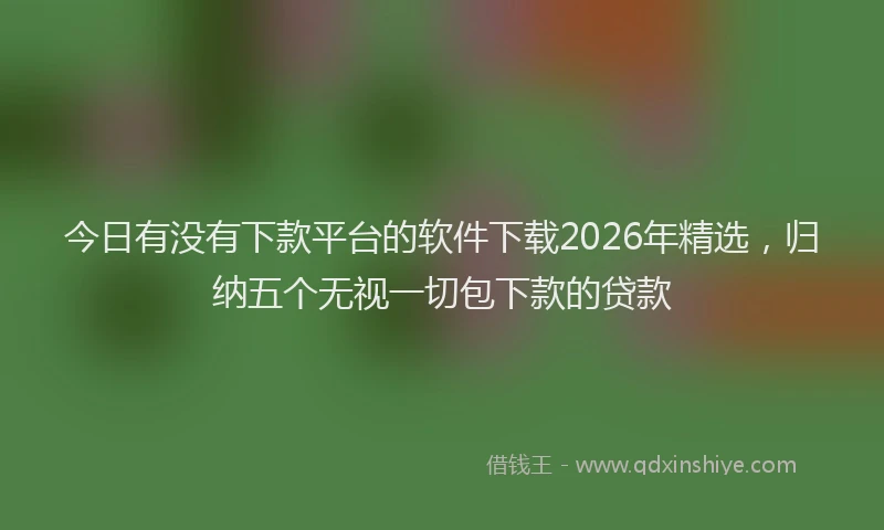 今日有没有下款平台的软件下载2026年精选，归纳五个无视一切包下款的贷款