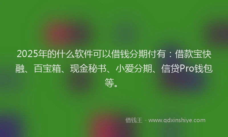2025年的什么软件可以借钱分期付有：借款宝快融、百宝箱、现金秘书、小爱分期、信贷Pro钱包等。