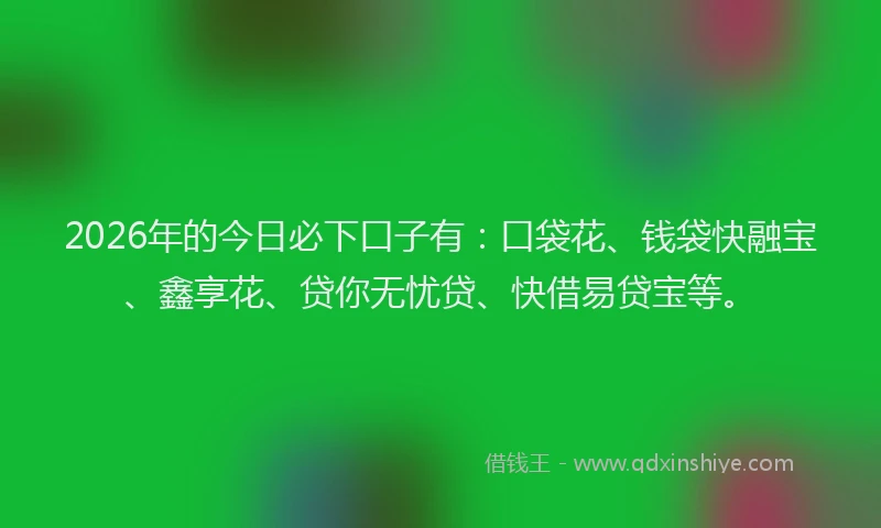 2026年的今日必下口子有：口袋花、钱袋快融宝、鑫享花、贷你无忧贷、快借易贷宝等。