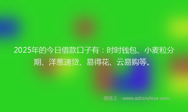 2025年的今日借款口子有:时时钱包、小麦粒分期、洋葱速贷、易得花、云易购等。
