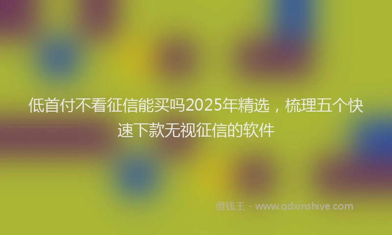 低首付不看征信能买吗2025年精选，梳理五个快速下款无视征信的软件