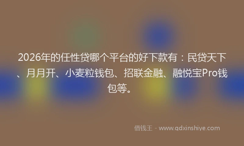 2026年的任性贷哪个平台的好下款有:民贷天下、月月开、小麦粒钱包、招联金融、融悦宝Pro钱包等。
