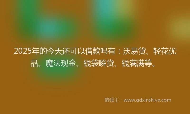 2025年的今天还可以借款吗有：沃易贷、轻花优品、魔法现金、钱袋瞬贷、钱满满等。