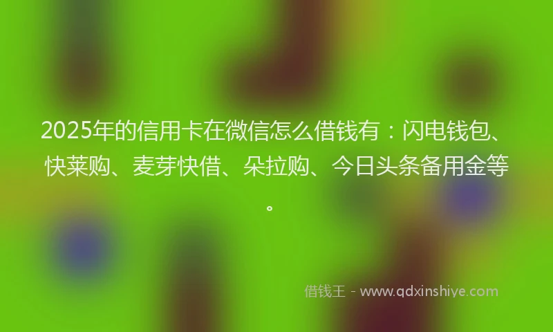 2025年的信用卡在微信怎么借钱有：闪电钱包、快莱购、麦芽快借、朵拉购、今日头条备用金等。