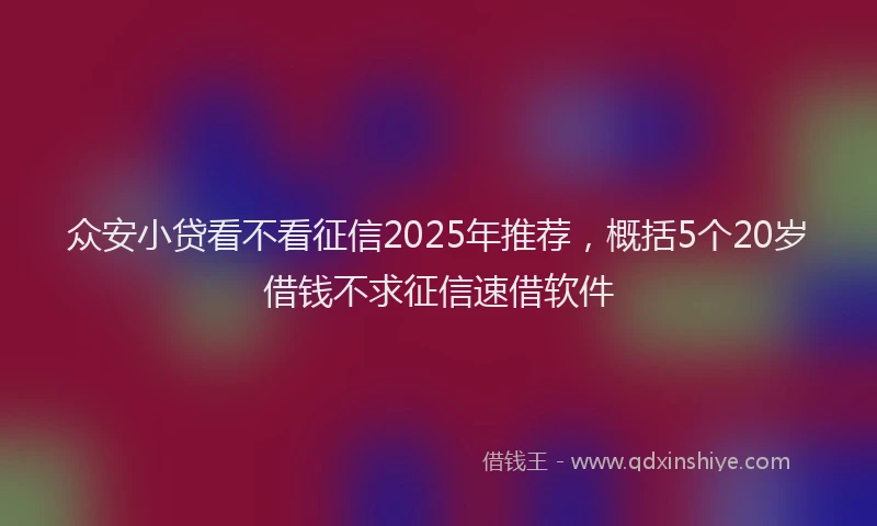 众安小贷看不看征信2025年推荐,概括5个20岁借钱不求征信速借软件