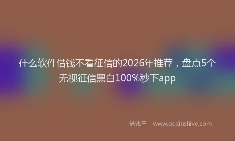 什么软件借钱不看征信的2026年推荐，盘点5个无视征信黑白100%秒下app