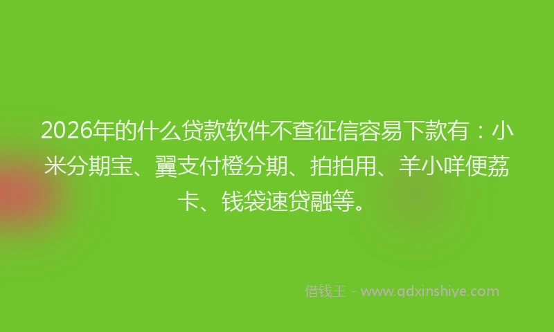 2026年的什么贷款软件不查征信容易下款有：小米分期宝、翼支付橙分期、拍拍用、羊小咩便荔卡、钱袋速贷融等。