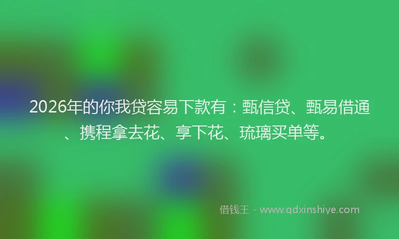 2026年的你我贷容易下款有：甄信贷、甄易借通、携程拿去花、享下花、琉璃买单等。